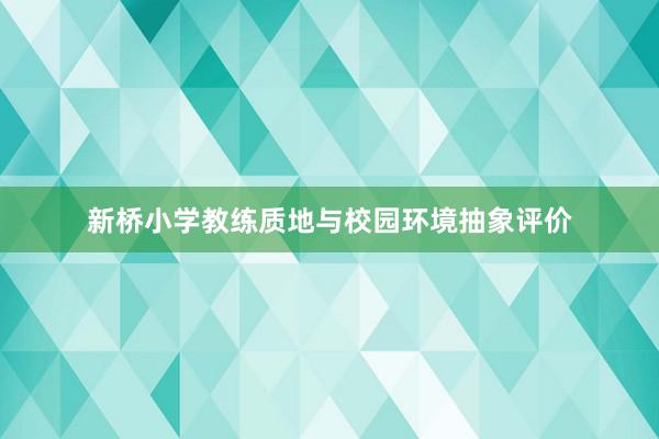 新桥小学教练质地与校园环境抽象评价